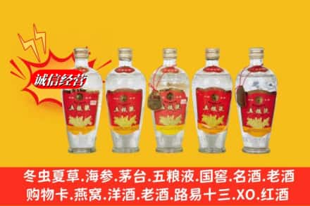 双城区回收老五粮液