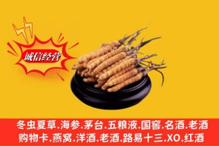 双城区求购回收虫草多少钱每克